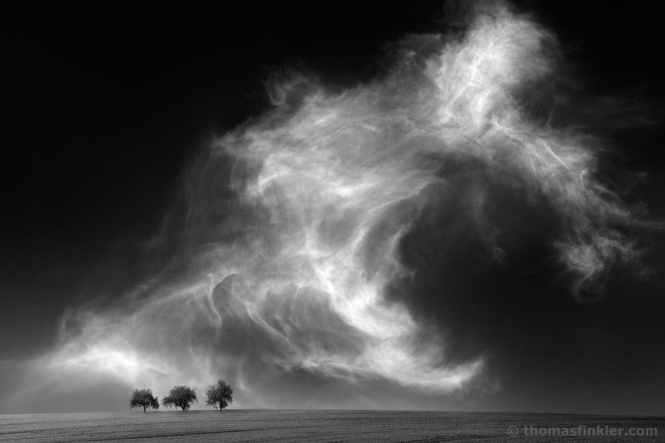 fine art, photography, minimalist, minimal, black and white, monochrome, trees, nature, landscape, cloudscape