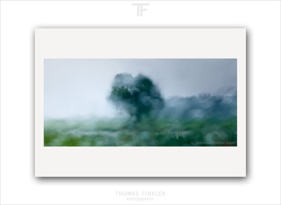 Art, fine art, photography, tree of life, single tree, abstract, nature, landscape, atmospheric, impressionist, rainy, blurry, color, colour