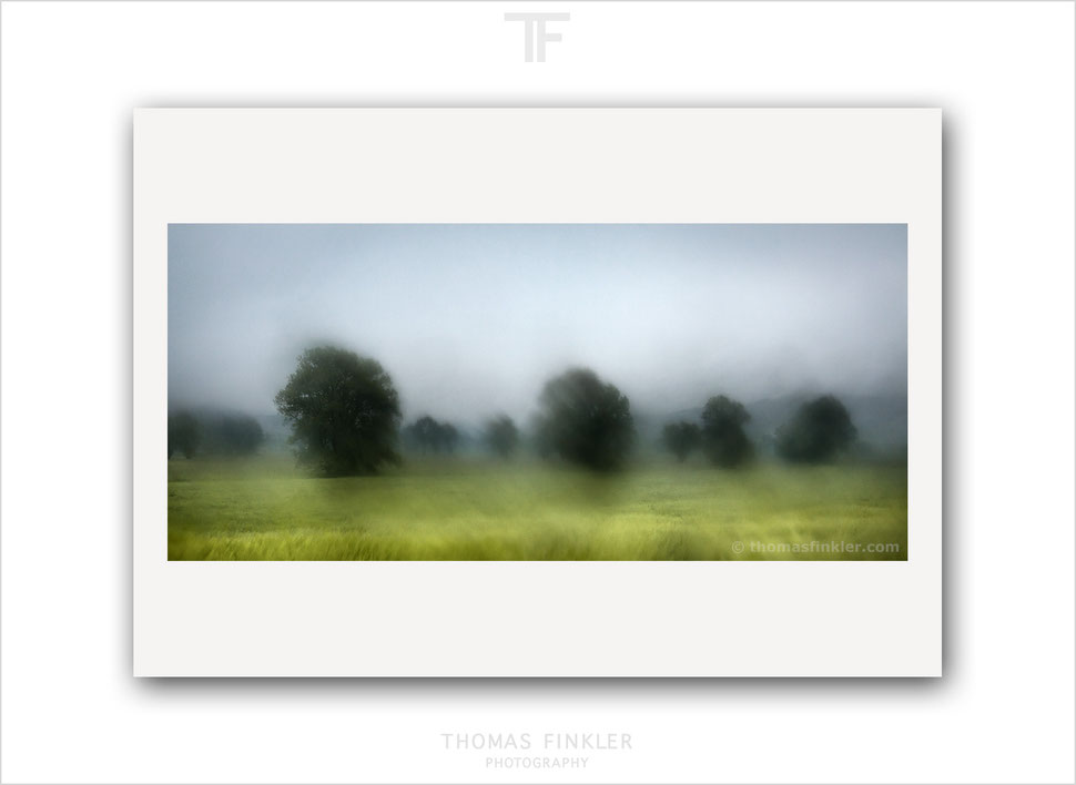 Buy, photography, prints, fine art, wall art, impressionist, atmospheric, nature, landscape, trees, abstract, mood, moody, rain, art, online