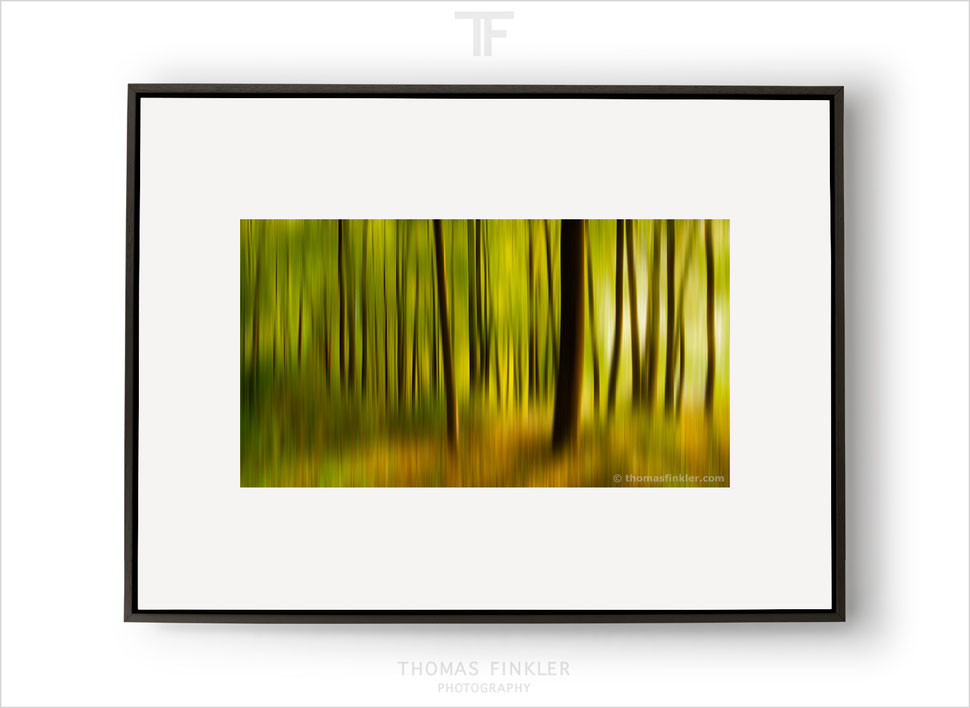 Fine art, photography, abstract, print, tree, nature, trees, forest, most beautiful, impressionist, art, prints for sale, buy prints, online