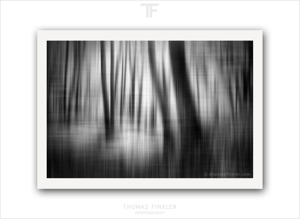 Buy, prints, fine art, wall art, photography, black and white, monochrome, abstract, impressionist, creative, artistic, professional, modern