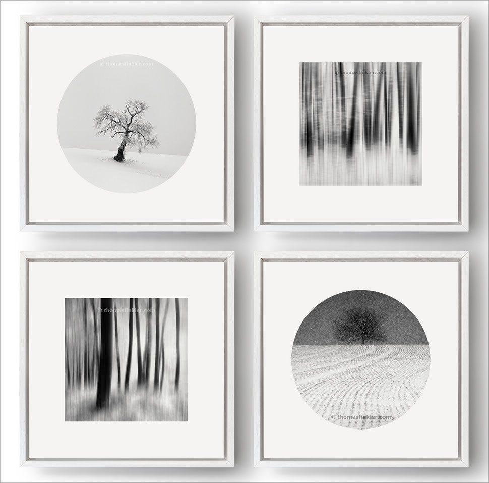 Fine art photography, black and white, monochrome, wall art, abstract, trees, nature, limited edition, 4 piece, set, framed, prints, for sale