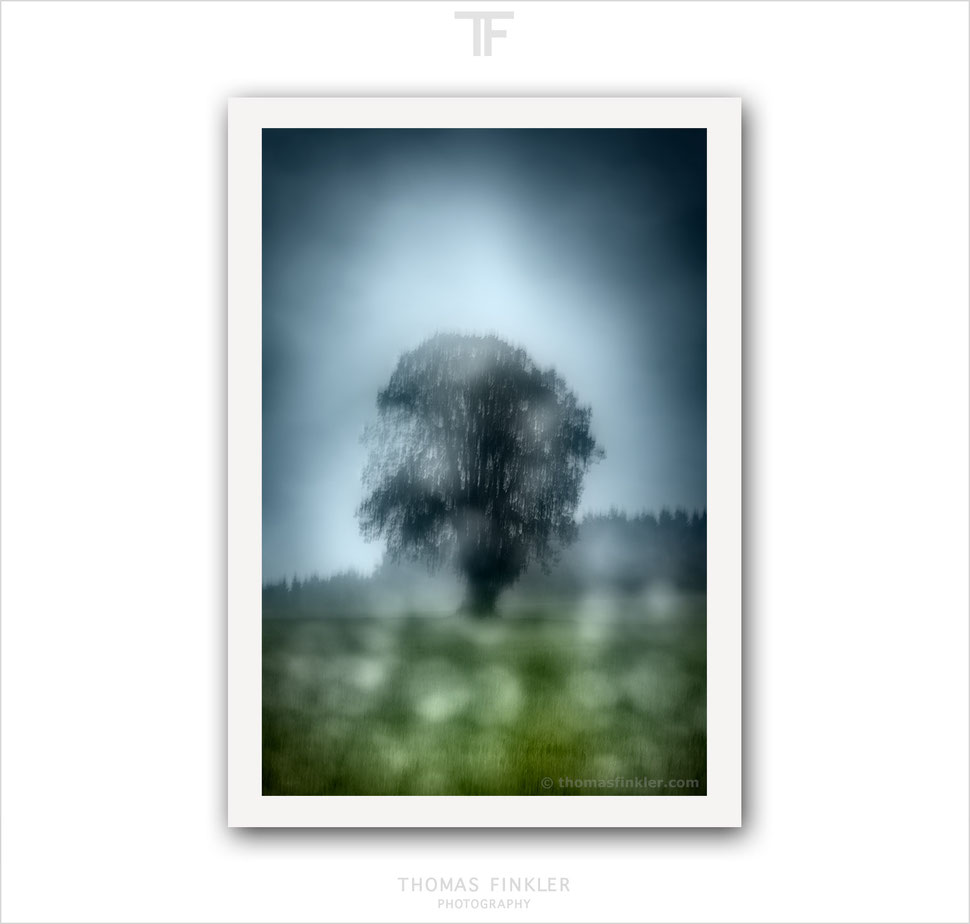 Art, fine art, photography, print, abstract, tree of life, atmospheric, impressionist, blurry, tree, prints for sale, buy prints, online