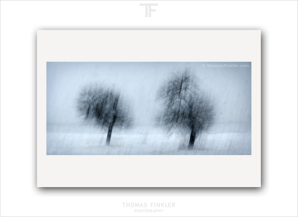 Buy, photography, prints, art, fine art, wall art, abstract, blurry, nature, trees, winter, snow, creative, artistic, limited edition, online