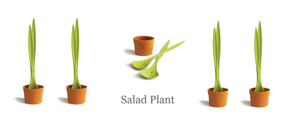 Salad Plant