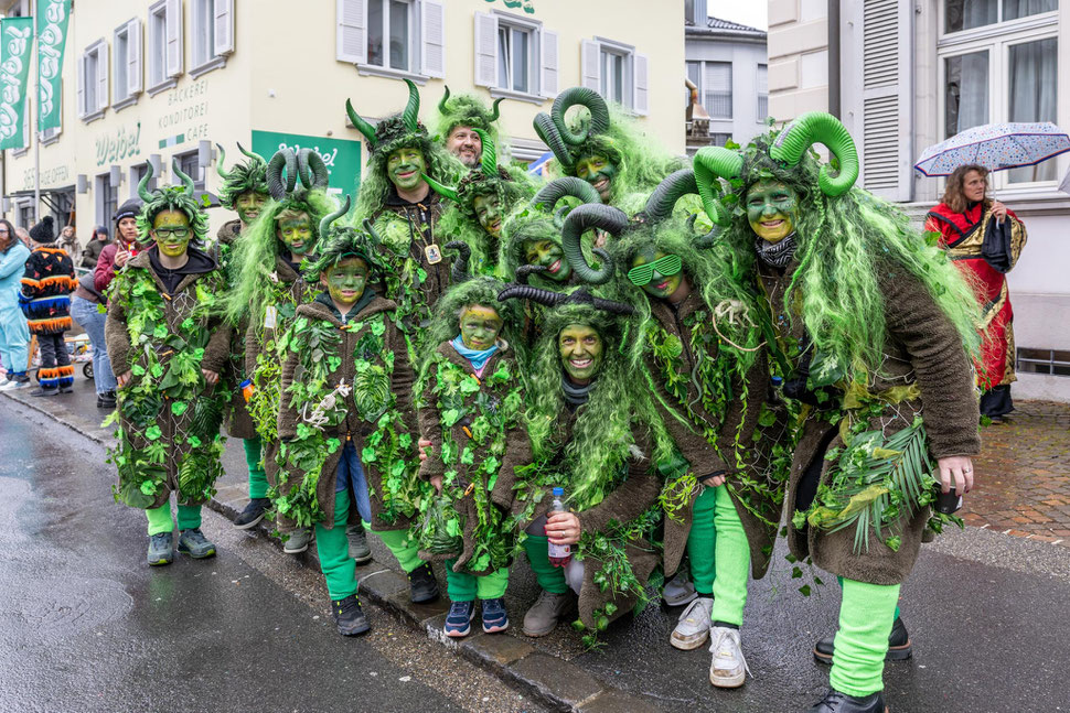 Narrentreffen Willisau: Grosser Umzug (Narrensprung)