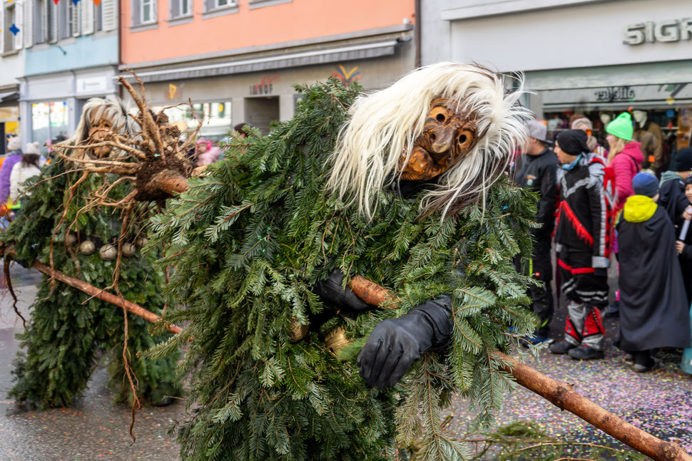 So erlebte Gastfotografin Lia Mehr den Schmudo 2026