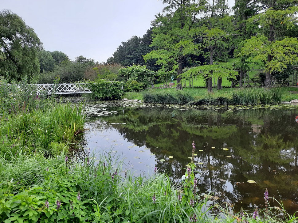 Le jardin botanique dont l'entrée est libre