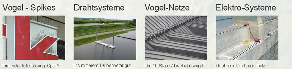 Welches der vier Taubenabwehrsysteme ist für Ihr Firmengebäude am besten geeignet? Wir beraten Sie umfassend über Vogelspikes, Drahtsystem, Vogelnetz und Elektrosystem.