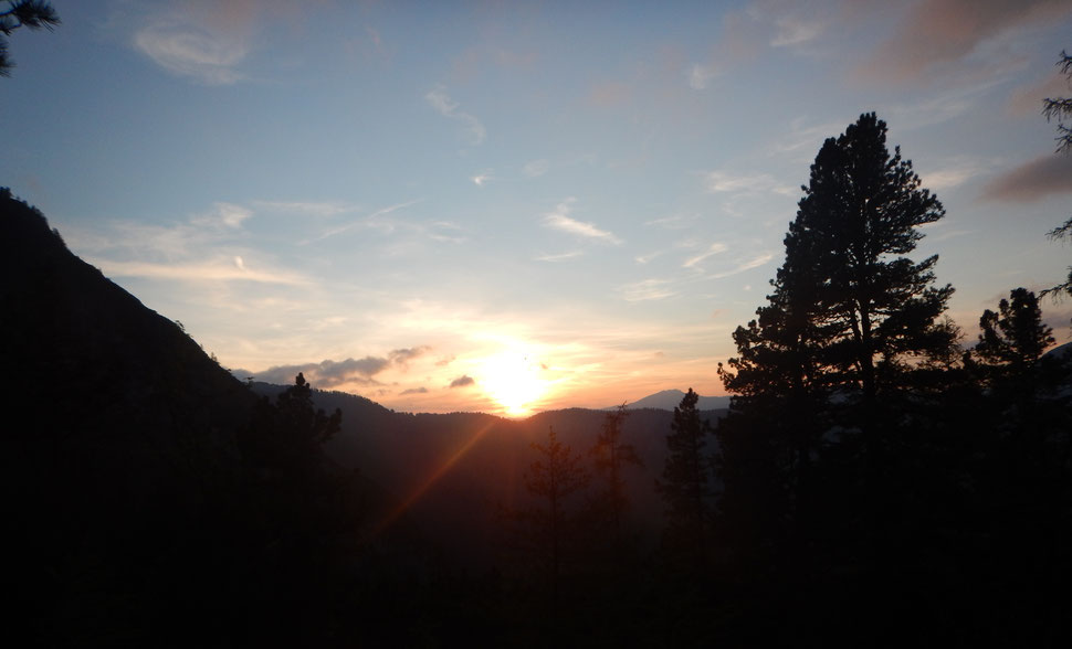 Elbsandstein - Dogtrekking Dogtrekking Dogtrekking Dogtrekking Elbsandstein-Dogtrekking ESDT Harz-Dogtrekking