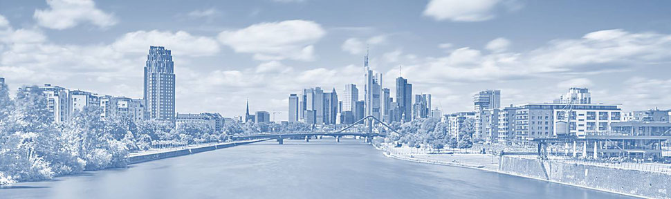 MSP Steuerberatung Frankfurt