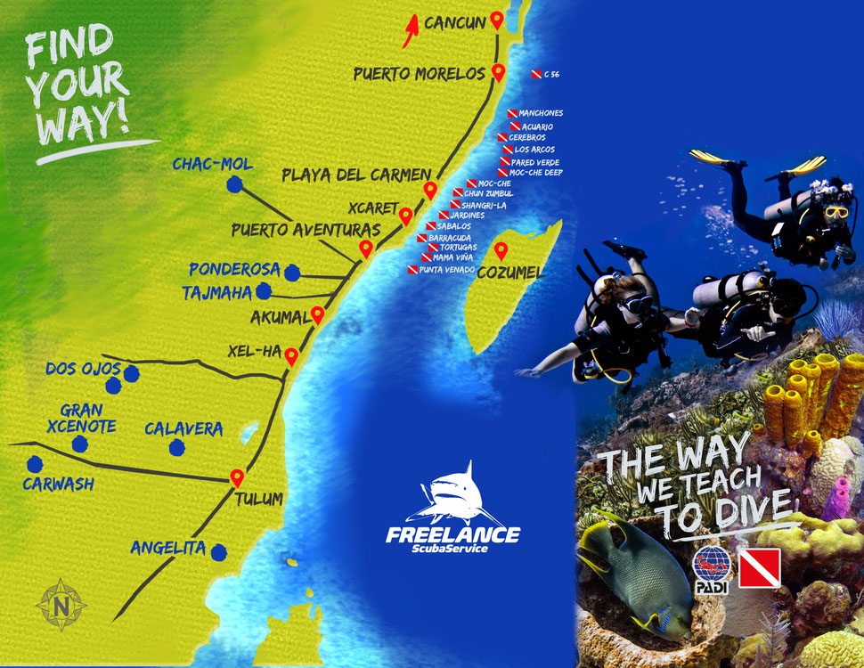 Playa del Carmen, Cozumel and Cenotes dive sites for certified divers
