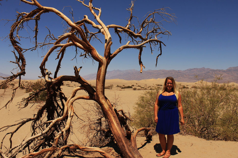 Sanddünen. Ich wusste nicht, wie schön das Death Valley eigentlich ist!