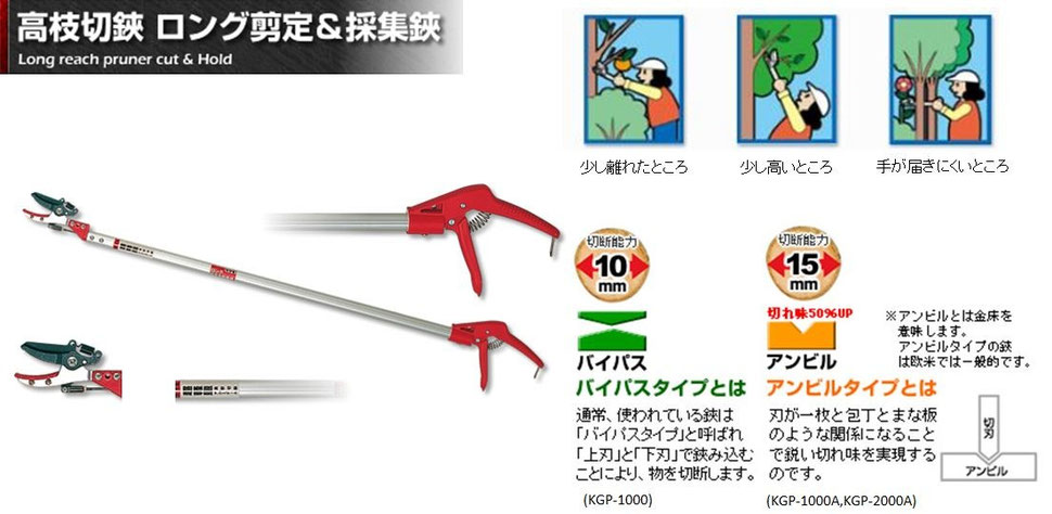ロング剪定＆採集鋏 - 園芸刃物- Kamaki - 岸本農工具製作所