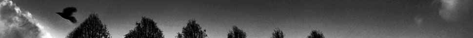 jiroh fujimura homepage