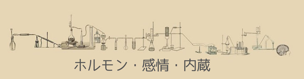 ホルモンは肉体にも感情にも働く