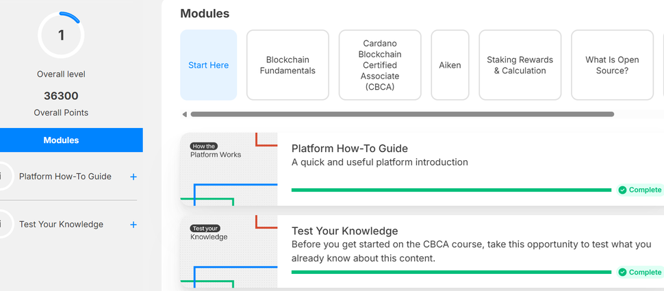 Screenshot - Cardano Academy