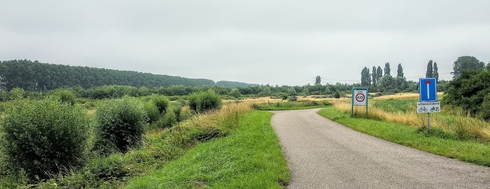 het gebied, dat in het rapport Juust als voorkeurslocatie voor Central Gate is aangewezen - in de Borsselepolder