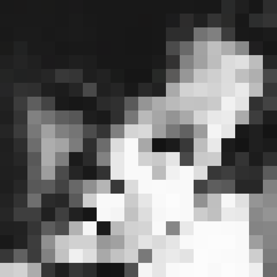 Bild Tomasli 20x20 Pixel