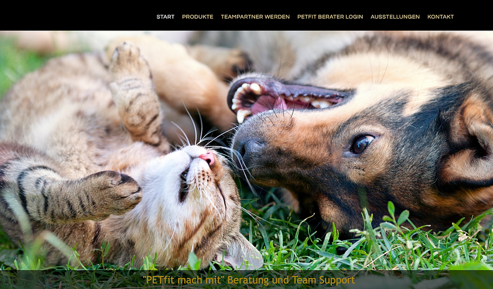 hansaconcept | Webdesign aus Lübeck für kleine, mittlere und große Unternehmen