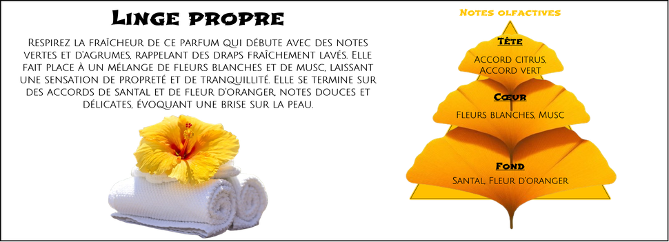 DaoZen - Découvrez le parfum pour bougies, fondants ou diffuseurs " Linge propre "