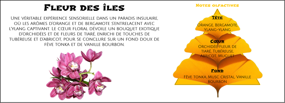 DaoZen - Découvrez le parfum pour bougies, fondants ou diffuseurs " Fleur des îles "