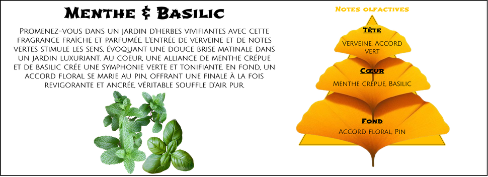 DaoZen - Découvrez le parfum pour bougies, fondants ou diffuseurs " Menthe & Basilic "