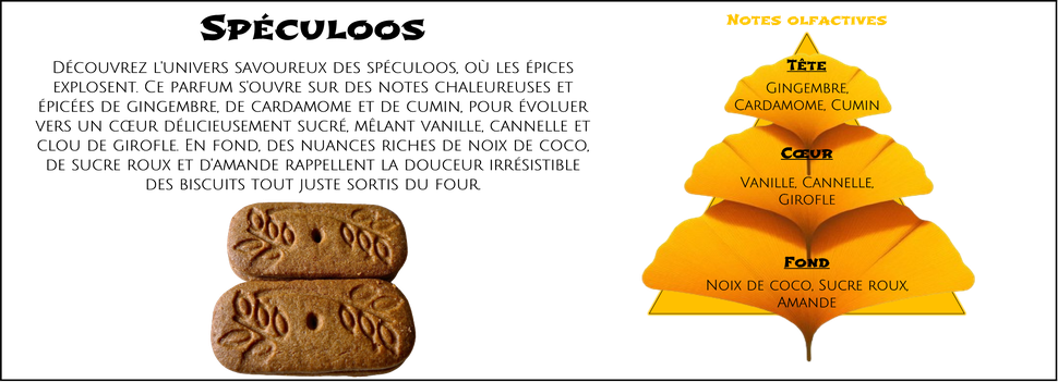 DaoZen - Découvrez le parfum pour bougies, fondants ou diffuseurs " Spéculoos "