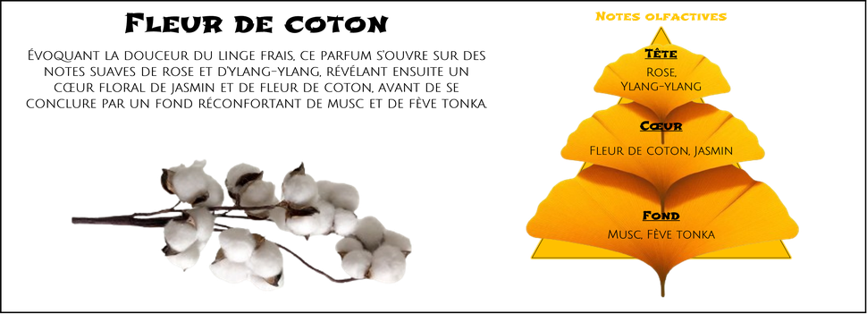 DaoZen - Découvrez le parfum pour bougies, fondants ou diffuseurs " Fleur de coton "
