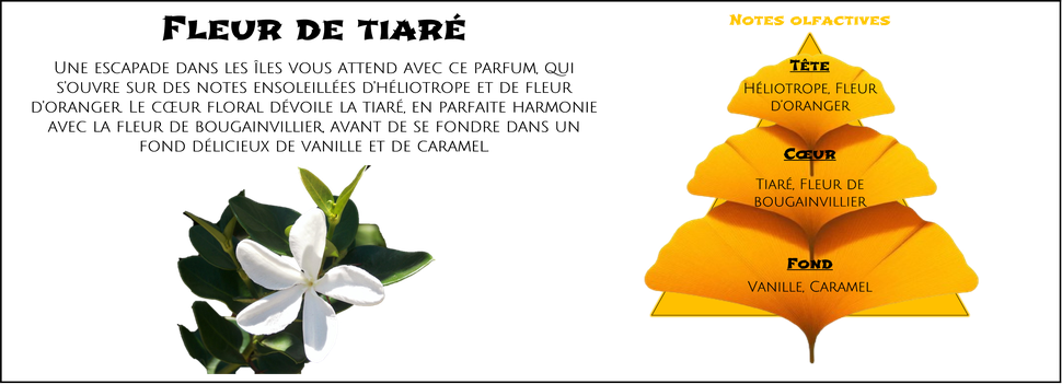 DaoZen - Découvrez le parfum pour bougies, fondants ou diffuseurs " Fleur de tiaré "