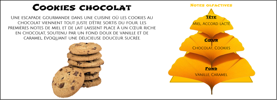 DaoZen - Découvrez le parfum pour bougies, fondants ou diffuseurs " Cookies chocolat "