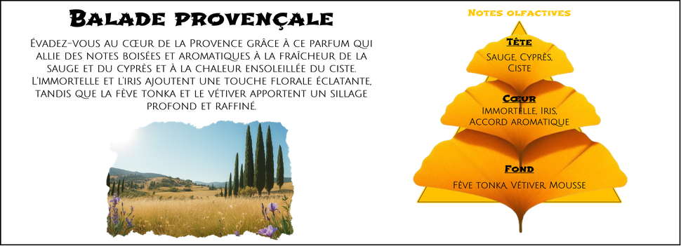 DaoZen - Découvrez le parfum pour bougies, fondants ou diffuseurs " Balade provençale "