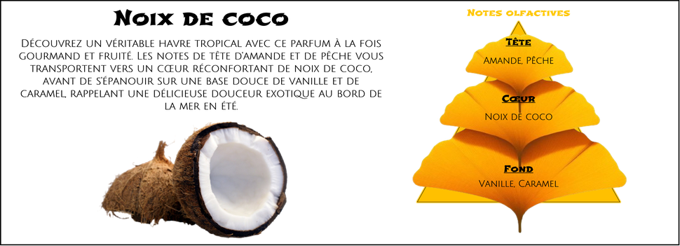 DaoZen - Découvrez le parfum pour bougies, fondants ou diffuseurs " Noix de coco "