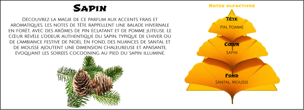 DaoZen - Découvrez le parfum pour bougies, fondants ou diffuseurs " Sapin "