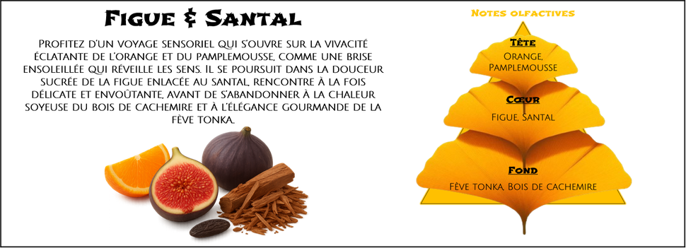 DaoZen - Découvrez le parfum pour bougies, fondants ou diffuseurs " Feuilles de figuier "
