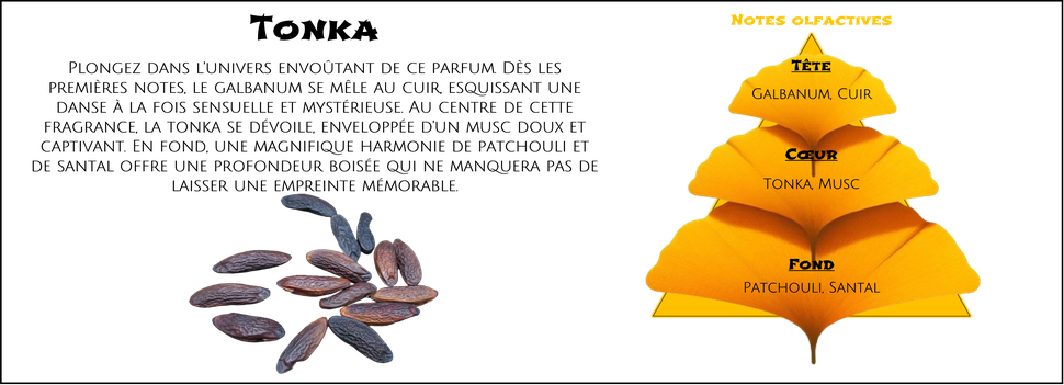 DaoZen - Découvrez le parfum pour bougies, fondants ou diffuseurs " Tonka "