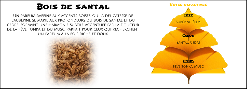DaoZen - Découvrez le parfum pour bougies, fondants ou diffuseurs " Bois de santal "