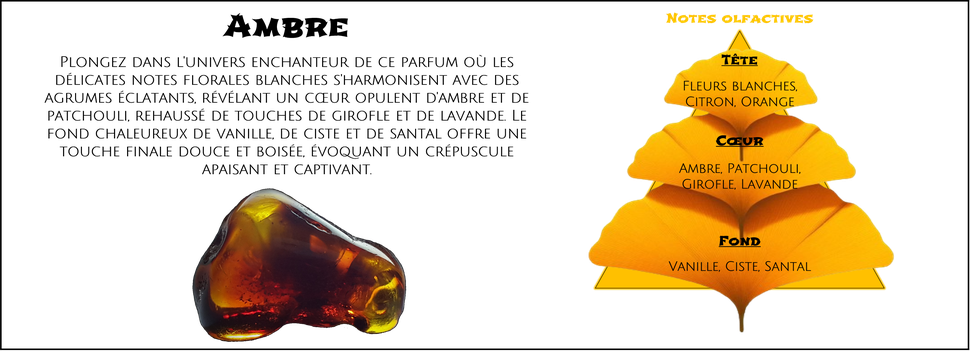 DaoZen - Découvrez le parfum pour bougies, fondants ou diffuseurs " Ambre "