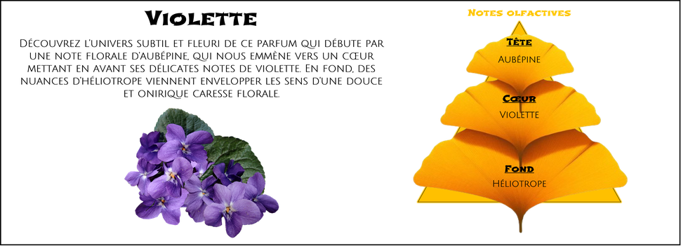 DaoZen - Découvrez le parfum pour bougies, fondants ou diffuseurs " Violette "
