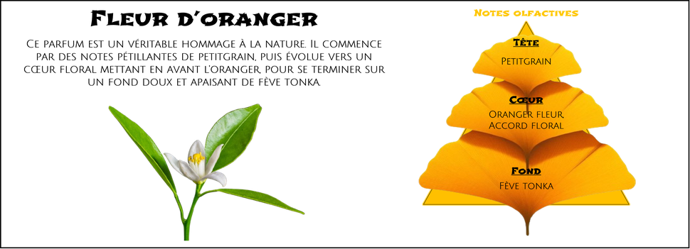 DaoZen - Découvrez le parfum pour bougies, fondants ou diffuseurs " Fleur d'oranger "