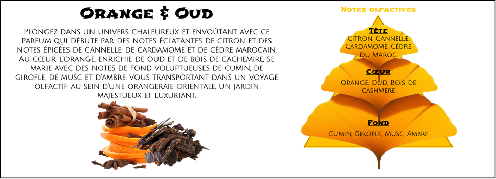 DaoZen - Créations - Découvrez le parfum créé par DaoZen pour bougies, fondants ou diffuseurs " Orange & Oud "