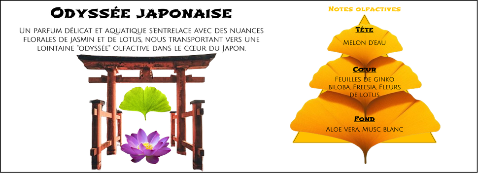 DaoZen - Découvrez le parfum pour bougies, fondants ou diffuseurs " Odyssée japonaise "