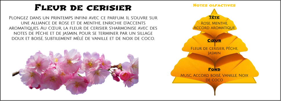 DaoZen - Découvrez le parfum pour bougies, fondants ou diffuseurs " Fleur de cerisier "