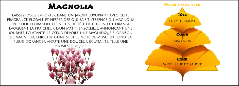 DaoZen - Découvrez le parfum pour bougies, fondants ou diffuseurs " Magnolia "