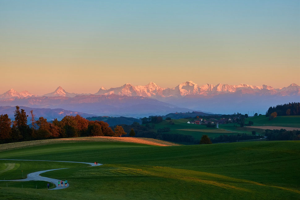 The image shows the photograph of a beautiful landscape in evening light. The alps in the background are lit by the last sunlight.