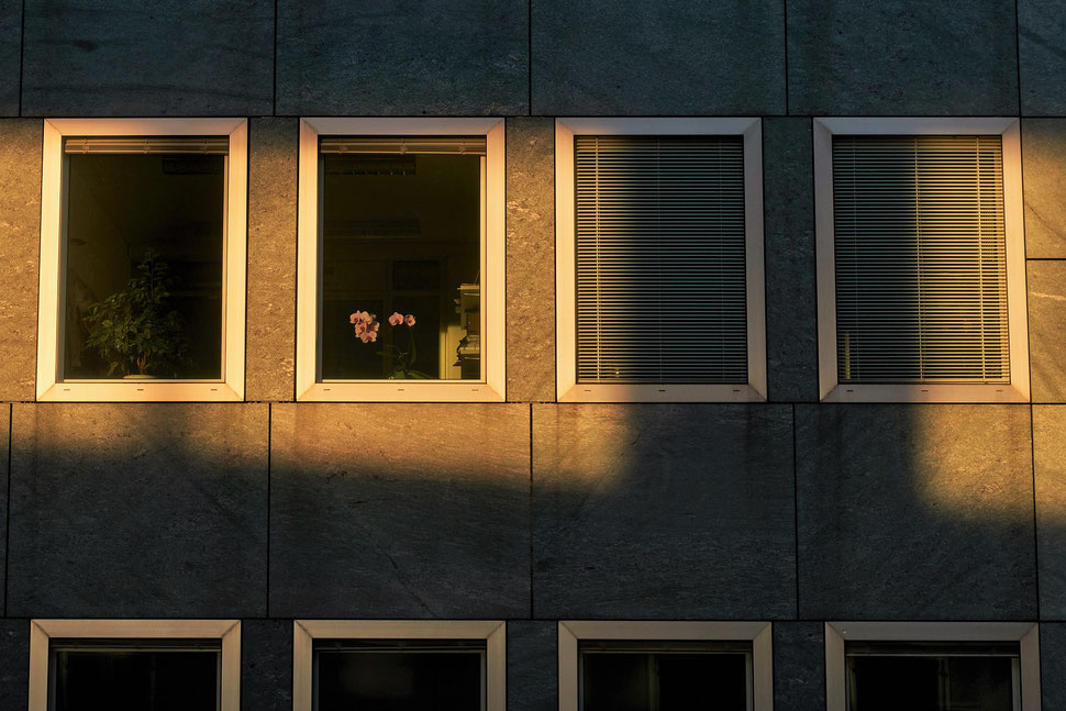 The image shows the photograph of a sunlit facade and windows of an office building near Europaplatz (Bern). A flower bouquet is visible in one of the windows.