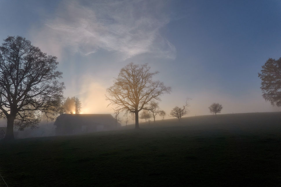 The image shows the photograph of a sunset behind a farmhouse on a foggy fall day. There are also some trees, a field of grass and a cloudy sky.