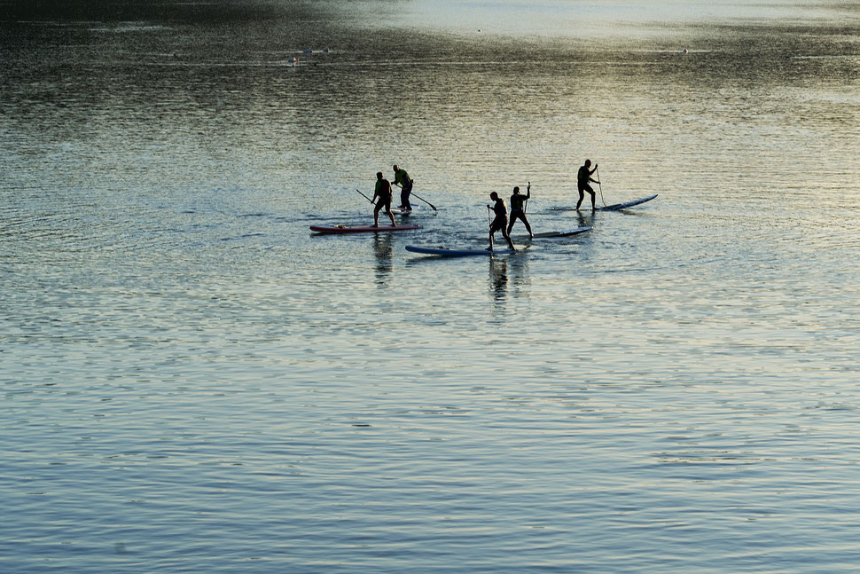 The image shows five people practising standup paddling on a lake called Wohlensee, which is near Bern.