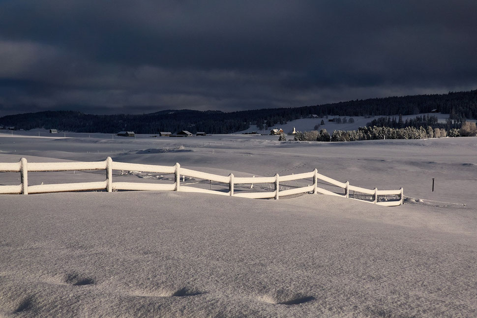 The image shows the photograph of a winter landscape in La Brévine (Jura region). The afternoon light illuminates a snow coevered fence in the foreground while the woods in the background and the clouded sky are dark.a