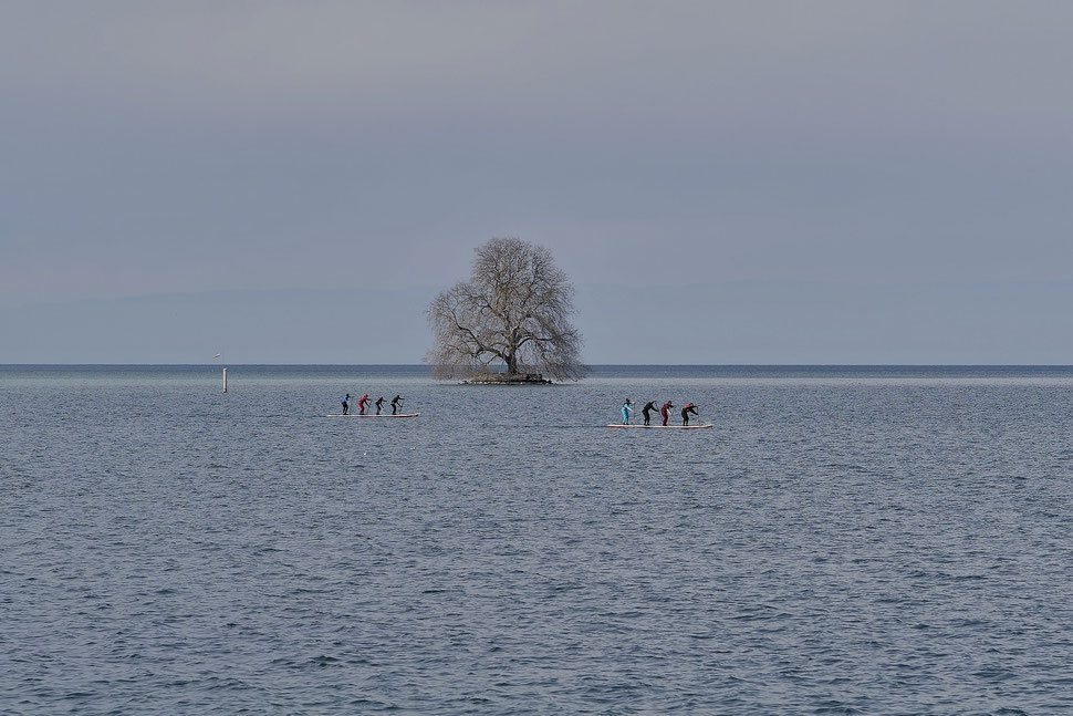 The image shows two stand-up paddleboards each carrying 4 people, moving along the shore of Lake Geneva. In the background, a small island with a single tree can be seen.